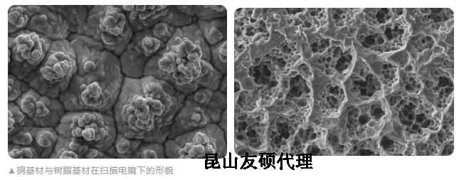 湛江蔡司湛江扫描电镜